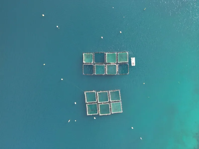Farmed and Fouled: The Plastic Pollution Quietly Escaping America's Aquaculture Operations