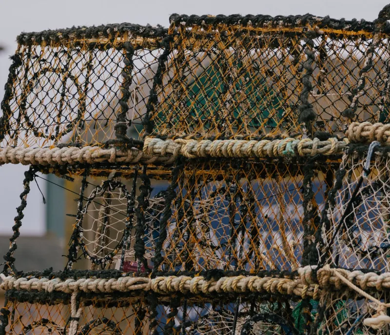 Invisible and Adrift: The Detection Crisis Keeping Ghost Fishing Gear Hidden in American Waters